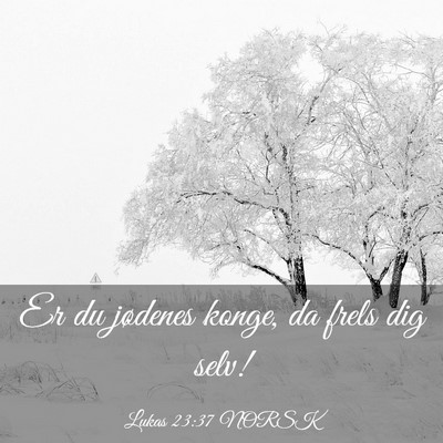 Picture 03 - Lukas 23:37 NORSK - Er du jødenes konge, da frels dig - Bible Verse Picture