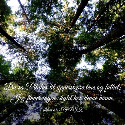 Picture 03 - Lukas 23:4 NORSK - Da sa Pilatus til yppersteprestene og folket: Jeg - Bible Verse Picture