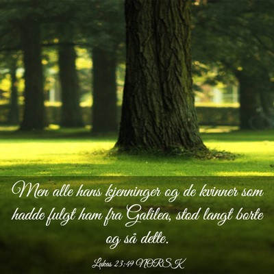 Picture 03 - Lukas 23:49 NORSK - Men alle hans kjenninger og de kvinner som hadde - Bible Verse Picture