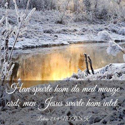 Picture 03 - Lukas 23:9 NORSK - Han spurte ham da med mange ord; men Jesus svarte - Bible Verse Picture