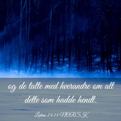 Picture 03 - Lukas 24:14 NORSK - og de talte med hverandre om alt dette som hadde - Bible Verse Picture