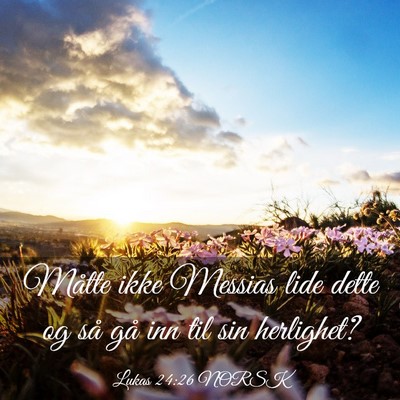 Picture 03 - Lukas 24:26 NORSK - Måtte ikke Messias lide dette og så gå inn til - Bible Verse Picture
