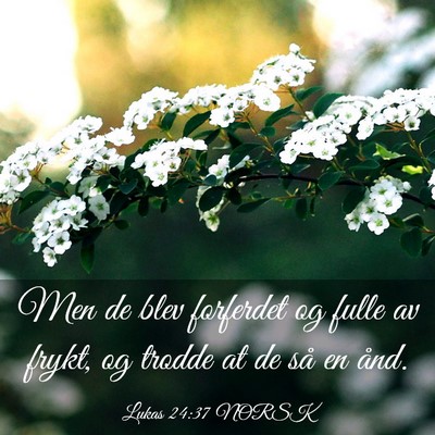 Picture 03 - Lukas 24:37 NORSK - Men de blev forferdet og fulle av frykt, og - Bible Verse Picture