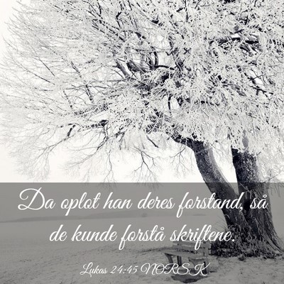 Picture 03 - Lukas 24:45 NORSK - Da oplot han deres forstand, så de kunde forstå - Bible Verse Picture