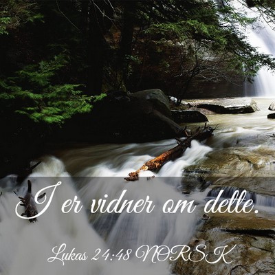 Picture 03 - Lukas 24:48 NORSK - I er vidner om - Bible Verse Picture