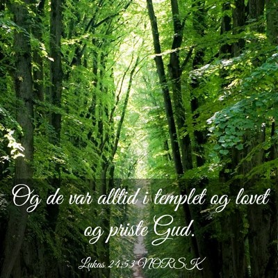 Picture 03 - Lukas 24:53 NORSK - Og de var alltid i templet og lovet og priste - Bible Verse Picture