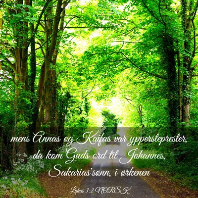 Picture 03 - Lukas 3:2 NORSK - mens Annas og Kaifas var yppersteprester, da kom - Bible Verse Picture