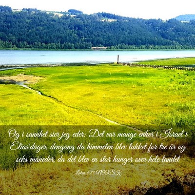 Picture 03 - Lukas 4:25 NORSK - Og i sannhet sier jeg eder: Det var mange enker i - Bible Verse Picture