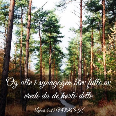 Picture 03 - Lukas 4:28 NORSK - Og alle i synagogen blev fulle av vrede da de - Bible Verse Picture