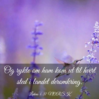 Picture 03 - Lukas 4:37 NORSK - Og rykte om ham kom ut til hvert sted i landet - Bible Verse Picture