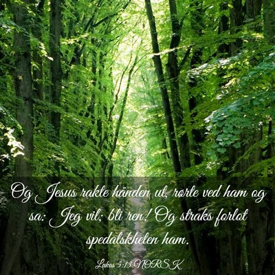 Picture 03 - Lukas 5:13 NORSK - Og Jesus rakte hånden ut, rørte ved ham og sa: - Bible Verse Picture