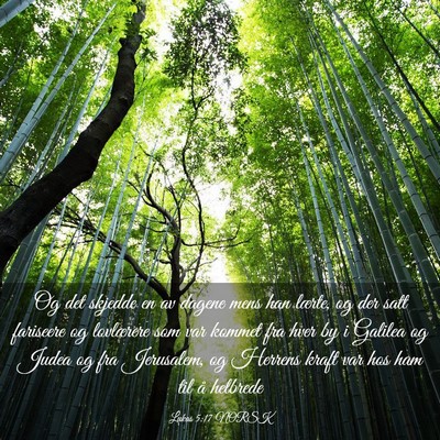 Picture 03 - Lukas 5:17 NORSK - Og det skjedde en av dagene mens han lærte, og - Bible Verse Picture