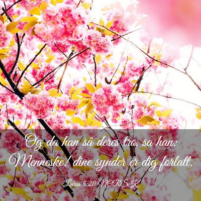Picture 03 - Lukas 5:20 NORSK - Og da han så deres tro, sa han: Menneske! dine - Bible Verse Picture