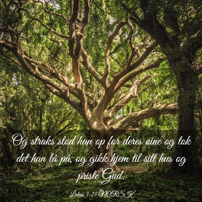 Picture 03 - Lukas 5:25 NORSK - Og straks stod han op for deres øine og tok det - Bible Verse Picture