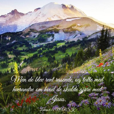 Picture 03 - Lukas 6:11 NORSK - Men de blev rent rasende, og talte med hverandre - Bible Verse Picture