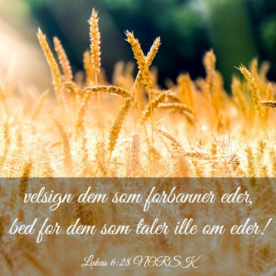 Picture 03 - Lukas 6:28 NORSK - velsign dem som forbanner eder, bed for dem som - Bible Verse Picture