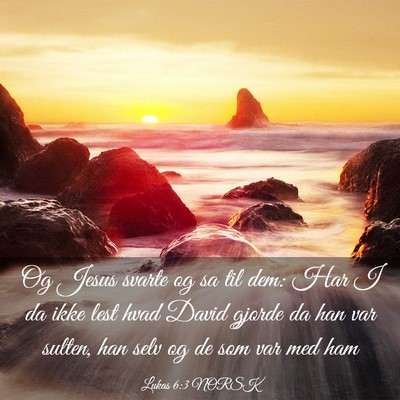 Picture 03 - Lukas 6:3 NORSK - Og Jesus svarte og sa til dem: Har I da ikke lest - Bible Verse Picture