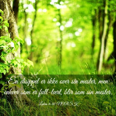 Picture 03 - Lukas 6:40 NORSK - En disippel er ikke over sin mester, men enhver - Bible Verse Picture