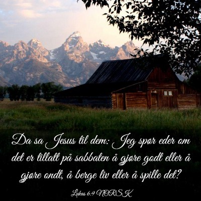Picture 03 - Lukas 6:9 NORSK - Da sa Jesus til dem: Jeg spør eder om det er - Bible Verse Picture