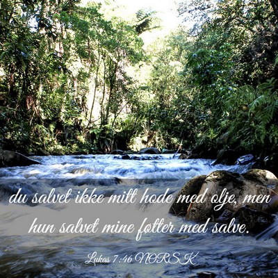 Picture 03 - Lukas 7:46 NORSK - du salvet ikke mitt hode med olje, men hun salvet - Bible Verse Picture