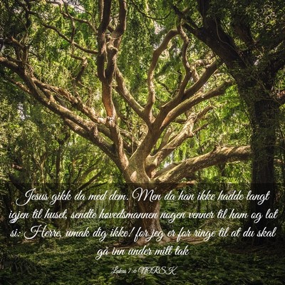 Picture 03 - Lukas 7:6 NORSK - Jesus gikk da med dem. Men da han ikke hadde - Bible Verse Picture