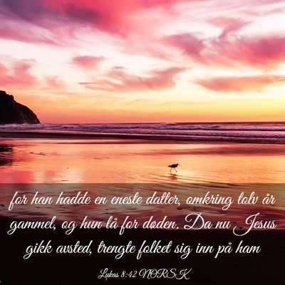 Picture 03 - Lukas 8:42 NORSK - for han hadde en eneste datter, omkring tolv år - Bible Verse Picture