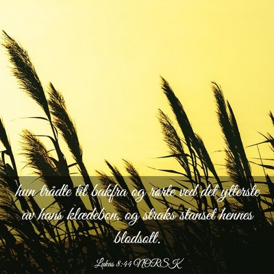 Picture 03 - Lukas 8:44 NORSK - hun trådte til bakfra og rørte ved det ytterste - Bible Verse Picture