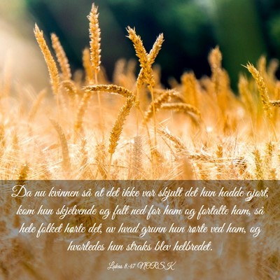 Picture 03 - Lukas 8:47 NORSK - Da nu kvinnen så at det ikke var skjult det hun - Bible Verse Picture