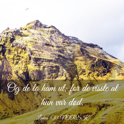 Picture 03 - Lukas 8:53 NORSK - Og de lo ham ut; for de visste at hun var - Bible Verse Picture
