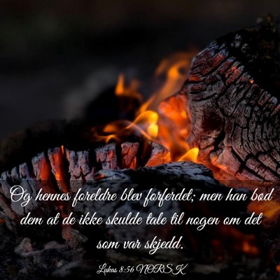 Picture 03 - Lukas 8:56 NORSK - Og hennes foreldre blev forferdet; men han bød - Bible Verse Picture
