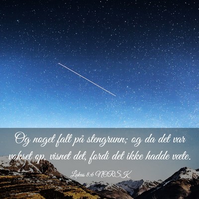 Picture 03 - Lukas 8:6 NORSK - Og noget falt på stengrunn; og da det var vokset - Bible Verse Picture