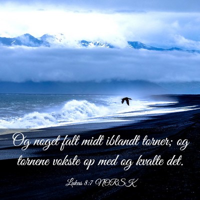 Picture 03 - Lukas 8:7 NORSK - Og noget falt midt iblandt torner; og tornene - Bible Verse Picture