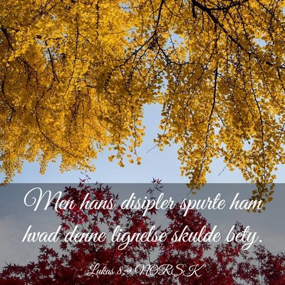 Picture 03 - Lukas 8:9 NORSK - Men hans disipler spurte ham hvad denne lignelse - Bible Verse Picture