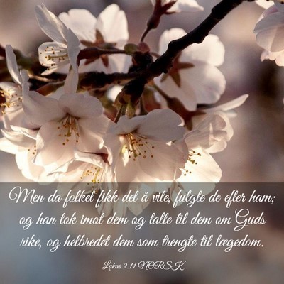 Picture 03 - Lukas 9:11 NORSK - Men da folket fikk det å vite, fulgte de efter - Bible Verse Picture