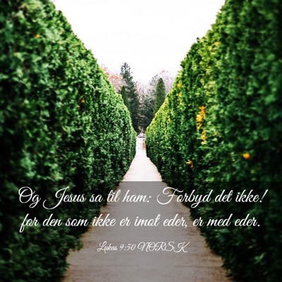 Picture 03 - Lukas 9:50 NORSK - Og Jesus sa til ham: Forbyd det ikke! for den som - Bible Verse Picture