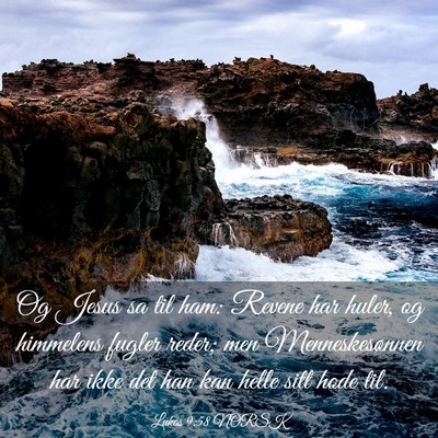 Picture 03 - Lukas 9:58 NORSK - Og Jesus sa til ham: Revene har huler, og - Bible Verse Picture