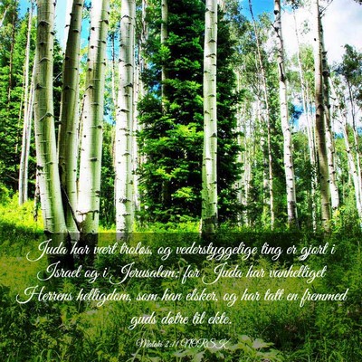 Picture 03 - Malaki 2:11 NORSK - Juda har vært troløs, og vederstyggelige ting - Bible Verse Picture