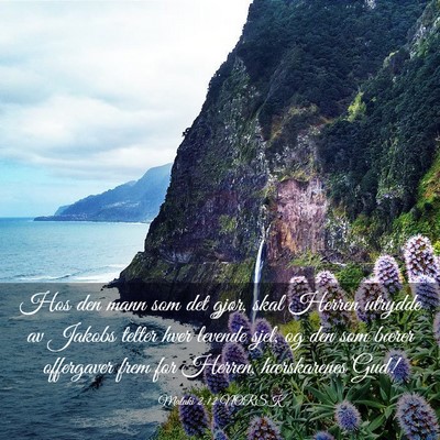 Picture 03 - Malaki 2:12 NORSK - Hos den mann som det gjør, skal Herren utrydde - Bible Verse Picture