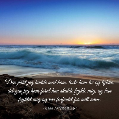 Picture 03 - Malaki 2:5 NORSK - Den pakt jeg hadde med ham, lovte ham liv og - Bible Verse Picture