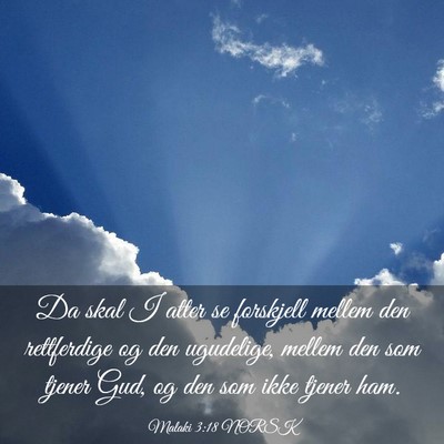 Picture 03 - Malaki 3:18 NORSK - Da skal I atter se forskjell mellem den - Bible Verse Picture