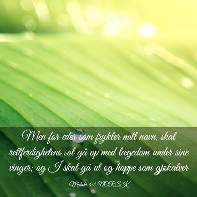 Picture 03 - Malaki 4:2 NORSK - Men for eder som frykter mitt navn, skal - Bible Verse Picture