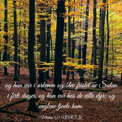 Picture 03 - Markus 1:13 NORSK - og han var i ørkenen og blev fristet av Satan i - Bible Verse Picture