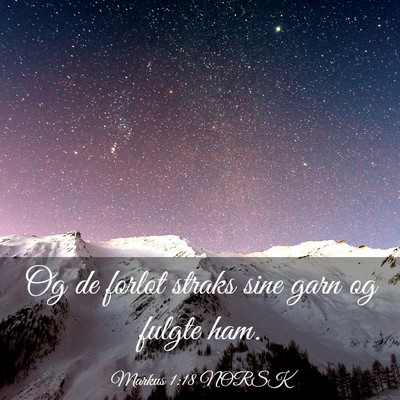 Picture 03 - Markus 1:18 NORSK - Og de forlot straks sine garn og fulgte - Bible Verse Picture