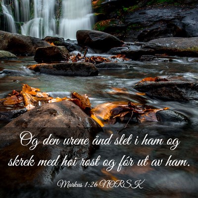 Picture 03 - Markus 1:26 NORSK - Og den urene ånd slet i ham og skrek med høi - Bible Verse Picture