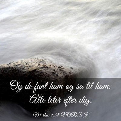 Picture 03 - Markus 1:37 NORSK - Og de fant ham og sa til ham: Alle leter efter - Bible Verse Picture