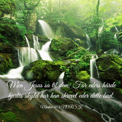 Picture 03 - Markus 10:5 NORSK - Men Jesus sa til dem: For eders hårde hjertes - Bible Verse Picture