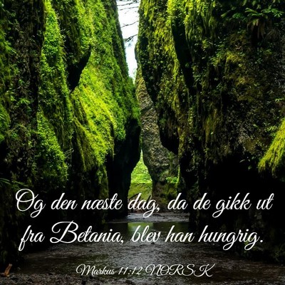 Picture 03 - Markus 11:12 NORSK - Og den næste dag, da de gikk ut fra Betania, - Bible Verse Picture