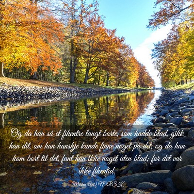 Picture 03 - Markus 11:13 NORSK - Og da han så et fikentre langt borte, som hadde - Bible Verse Picture