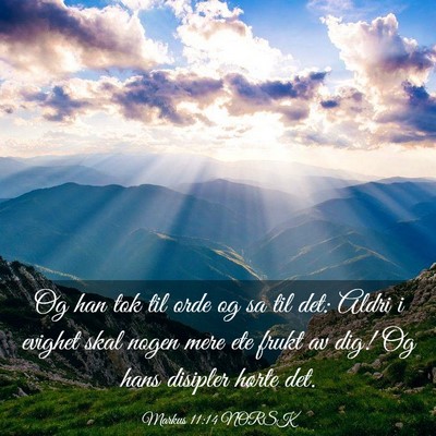 Picture 03 - Markus 11:14 NORSK - Og han tok til orde og sa til det: Aldri i - Bible Verse Picture