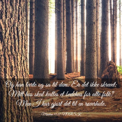 Picture 03 - Markus 11:17 NORSK - Og han lærte og sa til dem: Er det ikke skrevet: - Bible Verse Picture